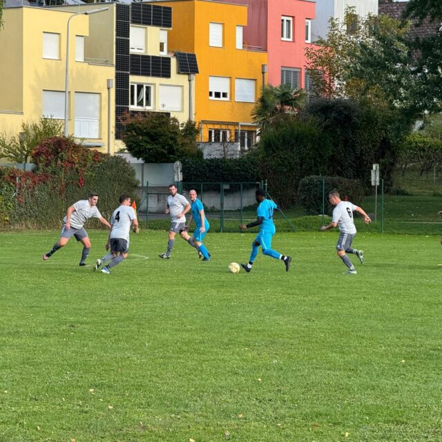 WhatsApp Image 2025-10-16 at 13.17.34